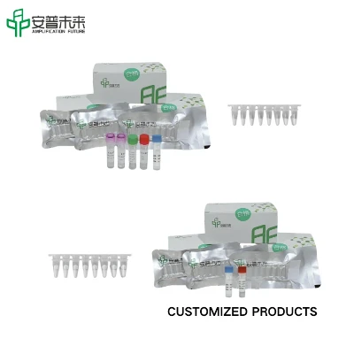 Mira Influenza B Virus Nukleinsäure Test Strip Strip Detection Kit Forschung nur Verwendung
