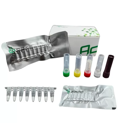Mira Mycobacterium tuberculosis Complex Fluoreszenz -Detektionskit nur Forschung verwendet