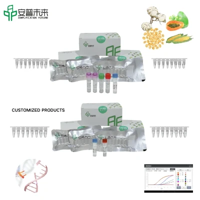 Mira Pflanzen transgene CAMV35S -Genfluoreszenz -Detektionskit