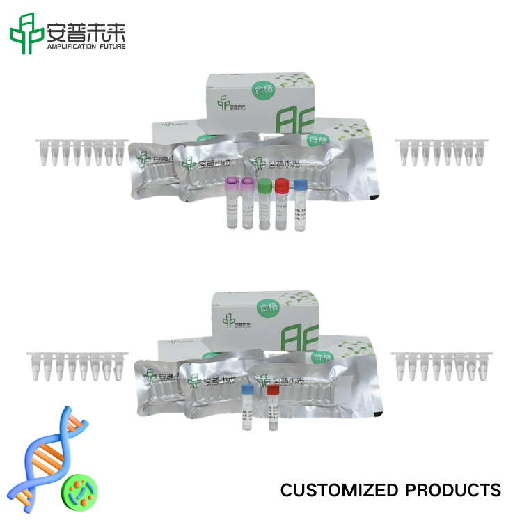 Mira Vibrio parahaemolyticus Fluoreszenz -Detektionskit nur Forschung